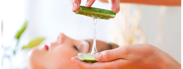 Aloe Vera, la planta de Cleopatra