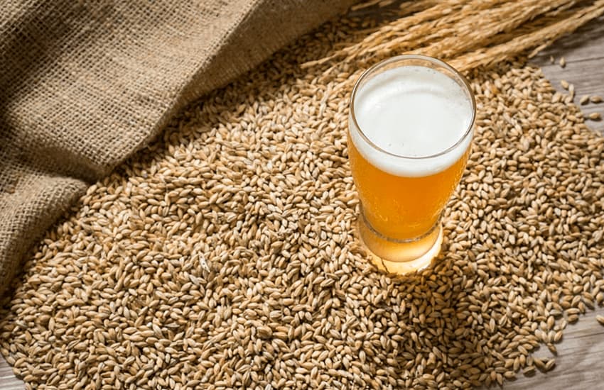 Beneficios de la levadura de cerveza para la salud
