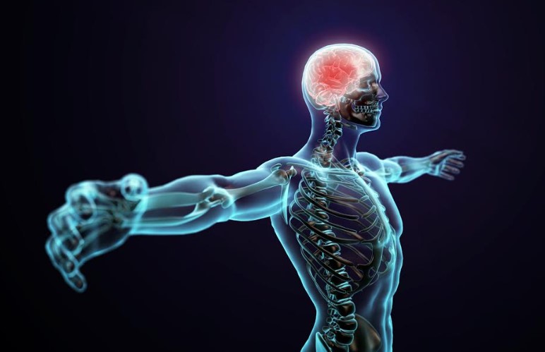 Cómo proteger tu sistema nervioso con vitamina B