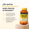 Enzimas-Digestivas-2