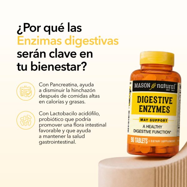 Enzimas-Digestivas-2