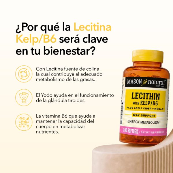 Lecitina-Kelp-2