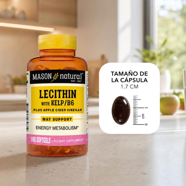 Lecitina-Kelp-5