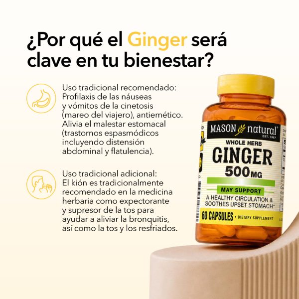 Ginger-2