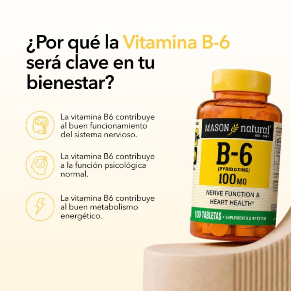 B-6-100-mg-2