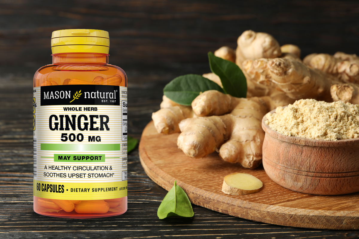 Ginger Y Sus Beneficios Para La Salud Mason Natural 0332